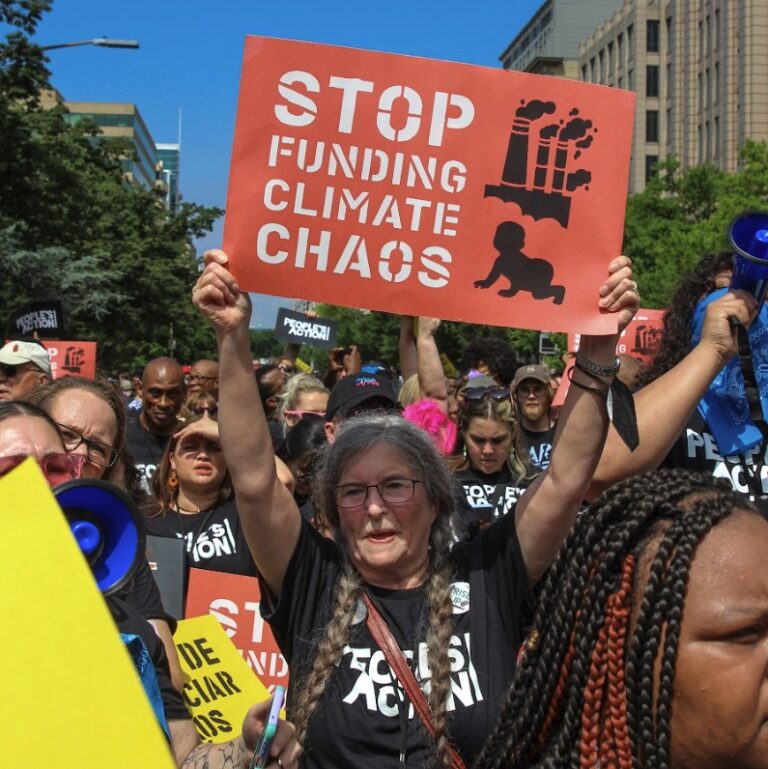 People & Planet First - People's Action Institute